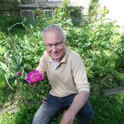 ���������� �������, ���� ������� ���������, 62 ����, ������������ ��� ������, ����� � ���������