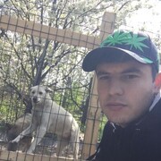 ���������� ���������, ���� ������� ����, 31 ���, ������������ ��� ������, ����� � ���������