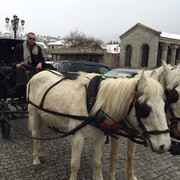  ,   Satko, 47 ,   
