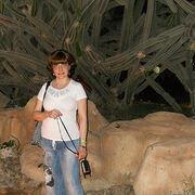 ���������� ������, ���� ������� ������� ���, 54 ����, ������������ ��� c�������� ���������