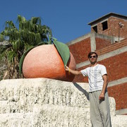 ���������� ��������, ���� ������� ������, 44 ����, ������������ ��� ������, ����� � ���������, c�������� ���������, ���������