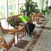  ,   , 36 ,   