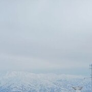 ���������� ������, ���� ������� Nasim, 43 ����, ������������ ��� ������, ����� � ���������, c�������� ���������, ���������