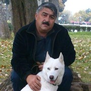  ,   Ayaz, 67 ,   ,   , c 
