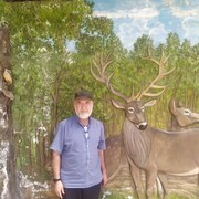  ,   , 58 ,   ,   