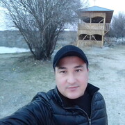 ���������� ���������, ���� ������� ������, 36 ���, ������������ ��� ������, ����� � ���������, c�������� ���������, ���������