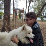 ���������� ���������, ���� ����� ������, 23 ����, ������������ ��� ���������