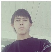  ,   Taxa, 29 ,     , c 