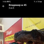 ���������� ������, ���� ������� ��������, 48 ���, ������������ ��� c�������� ���������