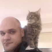 ���������� ����, ���� ������� ��������, 40 ���, ������������ ��� ������, ����� � ���������, c�������� ���������