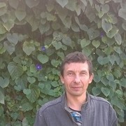  ,   , 49 ,     , c 
