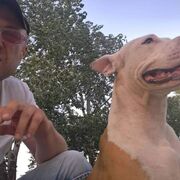 ���������� ��������������, ���� ������� ���������, 51 ���, ������������ ��� ������, ����� � ���������, c�������� ���������, ���������