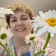  -,   , 58 ,   ,   , c 