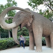  ,   Igor, 50 ,  