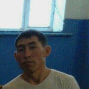 ���������� ������, ���� ������� ������, 41 ���, ������������ ��� ������, ����� � ���������