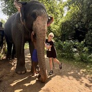 ���������� �����, ���� ������� ��������, 37 ���, ������������ 