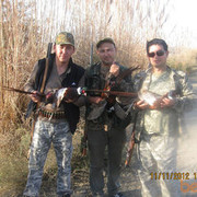 ���������� ������, ���� ������� �������, 54 ����, ������������ ��� ������