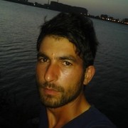 ���������� ����, ���� ������� Elsever, 36 ���, ������������ ��� ������, ����� � ���������, c�������� ���������