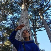 ���������� ������, ���� ������� ����, 34 ����, ������������ ��� ������, ����� � ���������