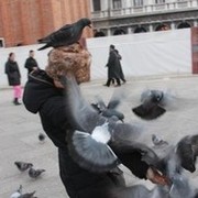 ���������� ��������, ���� ������� Jessic�, 38 ���, ������������ ��� ������, ����� � ���������, c�������� ���������