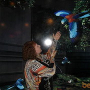 ���������� ����, ���� ������� �������, 51 ���, ������������ ��� ������, ����� � ���������, c�������� ���������