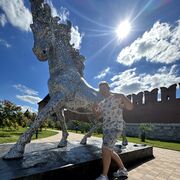 ���������� ������������, ���� ����� �������, 24 ����, ������������ ��� ������, ����� � ���������