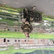 ���������� �����������, ���� ������� �������, 56 ���, ������������ ��� ������, ����� � ���������, c�������� ���������