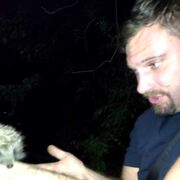 ���������� ������-��-����, ���� ������� ��������, 37 ���, ������������ ��� ������, ����� � ���������, ���������