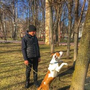 ���������� ����������, ���� ������� �����, 35 ���, ������������ ��� ������, ���������