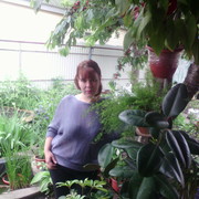 ���������� ������-��-����, ���� ������� �������, 45 ���, ������������ ��� ������