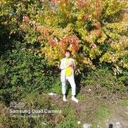  ,   , 61 ,     , 
