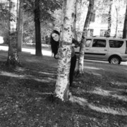  -,   , 41 ,   ,   , c 