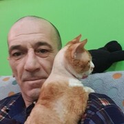  -,   , 51 ,   ,   