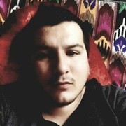 ���������� �������, ���� ������� WOLF, 31 ���, ������������ ��� ������, ����� � ���������