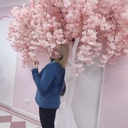  ,   , 52 ,   ,   