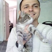  -,   , 28 ,   ,   