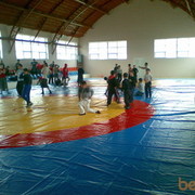 ���������� ����������, ���� ������� ����, 43 ����, ������������ ��� ������