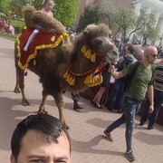  ,   , 34 ,   ,   , c 