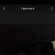 ���������� ���������, ���� ������� ������, 43 ����, ������������ ��� ������, ����� � ���������