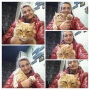  ,   , 48 ,     , c , 