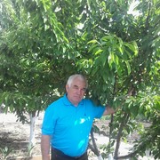  ,   , 71 ,  
