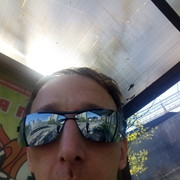  ,   Gogelban, 44 ,   