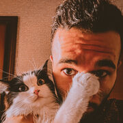 ���������� ������, ���� ������� �����, 27 ���, ������������ ��� ������, ����� � ���������