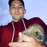 ���������� �������, ���� ������� �������, 32 ����, ������������ ��� ������, ����� � ���������, c�������� ���������