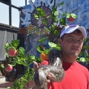 ���������� ���������� �����, ���� ������� ��������, 38 ���, ������������ ��� ������, ����� � ���������, c�������� ���������