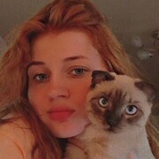  ,   , 24 ,     , c 