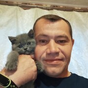  ,   , 44 ,   , 