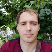  ,  Kot, 41