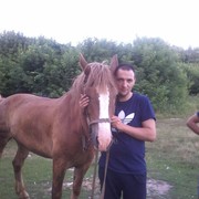 ,   Dester, 41 ,   ,   , c 