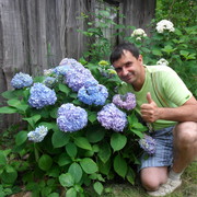  ,   , 53 ,   ,   , c 
